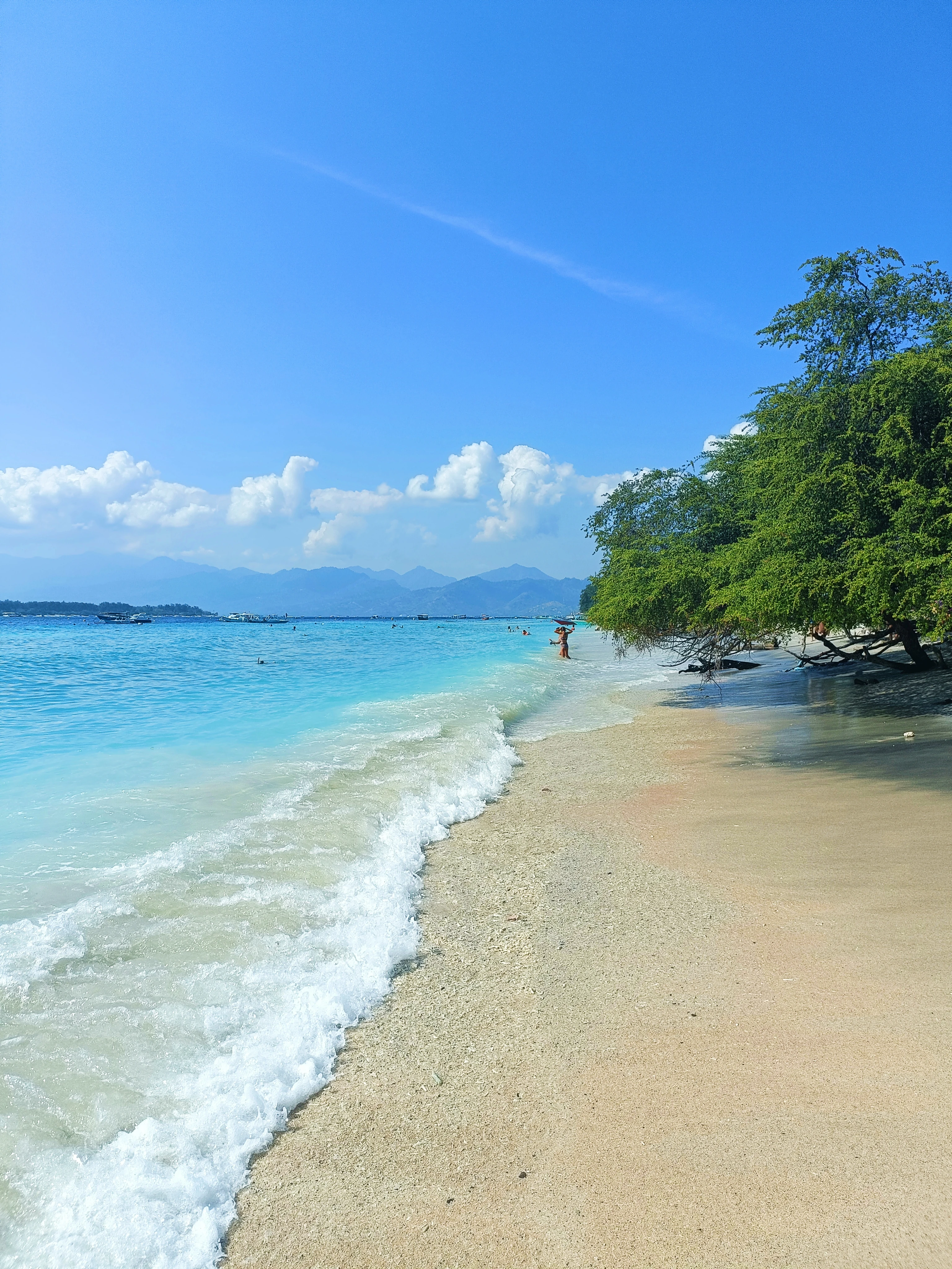 Spiaggia con acqua turchese e alberi affacciati sul mare