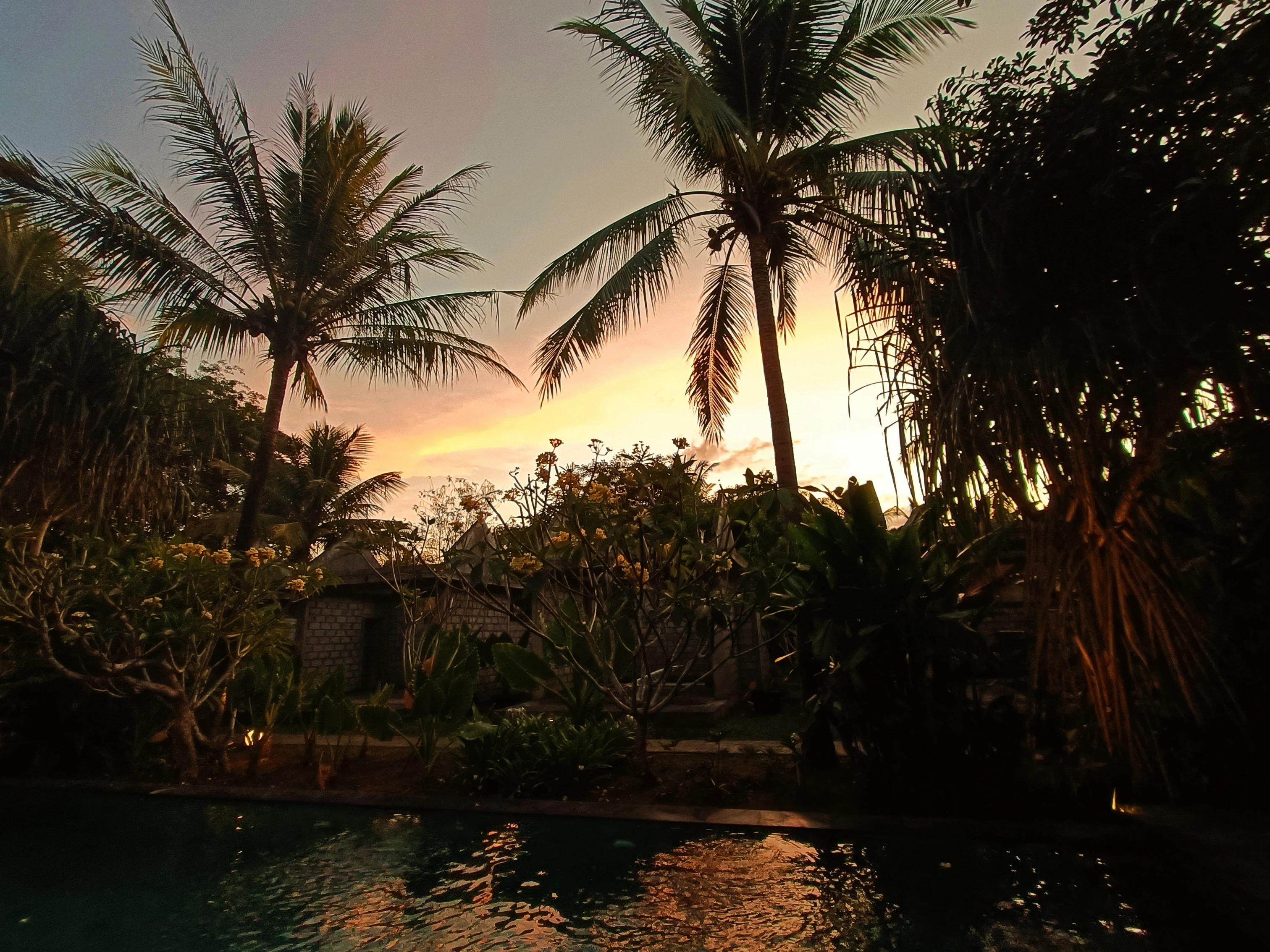 Palme e piscina in un giardino tropicale al tramonto