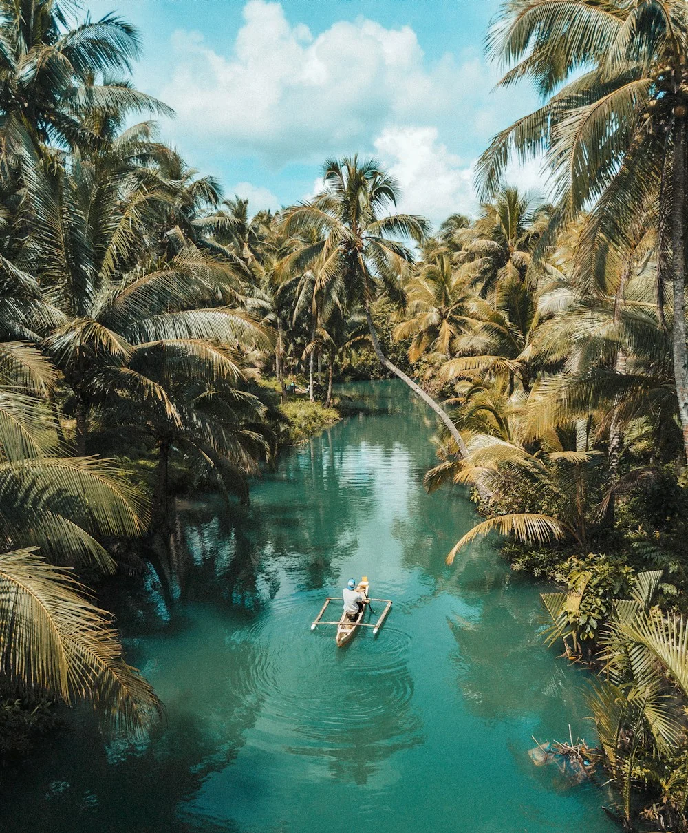 Mare e palme a Bali